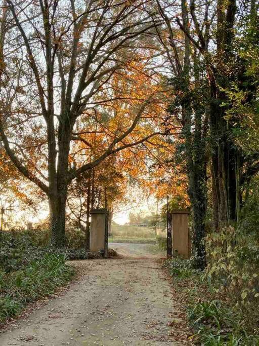 Yellowwoods Farm - Willoughbys Cottage And Old Stables Cottage Curryʼs Post Exterior foto